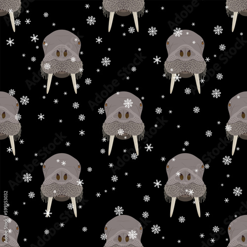Seamless animal winter pattern with walrus heads and snowflakes. Odobenus rosmarus. Seasonal design. On black background.