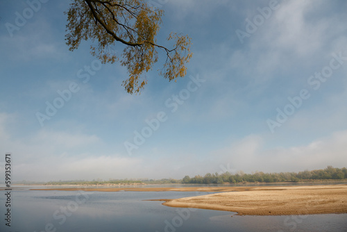 Gałąź na tle chmur nad wyschniętą rzeką Wisłą photo