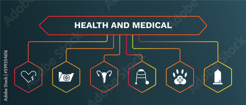 set of health and medical white filled icons. health and medical filled icons with infographic template. flat icons such as records, gynecology, medical walker, veterinary, condom vector.