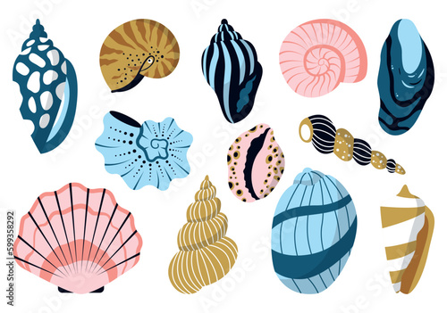Sea shell, sink cartoon set. Ocean exotic underwater seashell conch aquatic mollusk, sea spiral snail, marine starfish collection. Tropical beach shells nature aquatic water flat design illustration