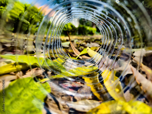 The fallen leaves revive in the fall.  A view through a transparent tunnel from a plastic bottle.  different perspective