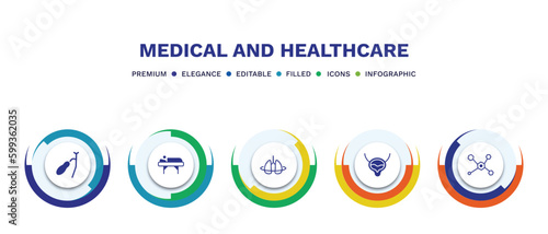 set of medical and healthcare filled icons. medical and healthcare filled icons with infographic template. flat icons such as gallbladder, illness on bed, breath control, bladder, molecular