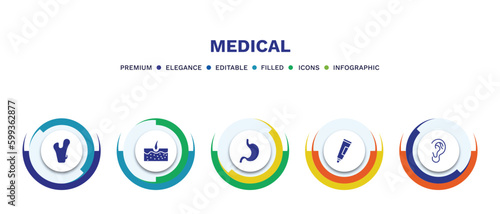 set of medical filled icons. medical filled icons with infographic template. flat icons such as femur, epidermis, stoh, ointment, ear vector.