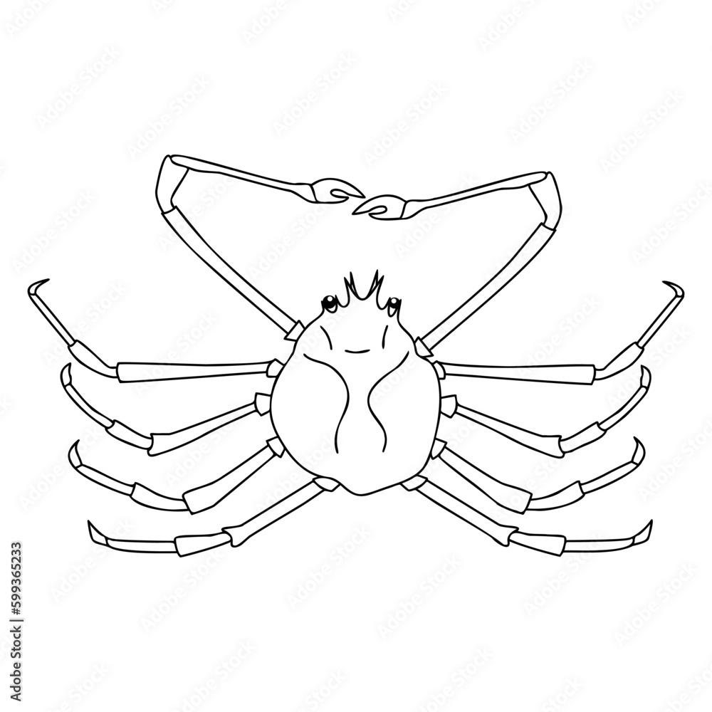 Spider Crab outline illustration on white background. Coloring page