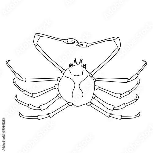 Tableau sur toile Spider Crab outline illustration on white background