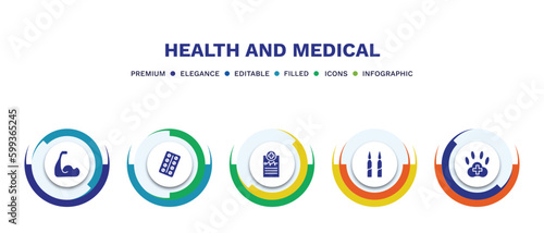 set of health and medical filled icons. health and medical filled icons with infographic template. flat icons such as biceps, medical strip, report, ampoule, veterinary vector.