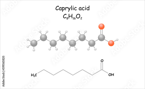Stylized molecule model/structural formula of caprylic acid (octanoic acid). Substance has a faint, fruity odor and is used for synthesis.