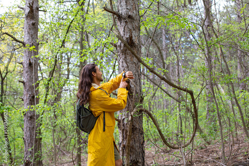 Man in forest photo