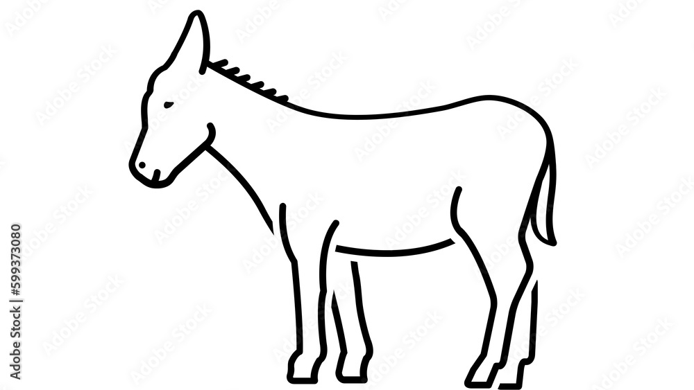 Donkey illustrations
