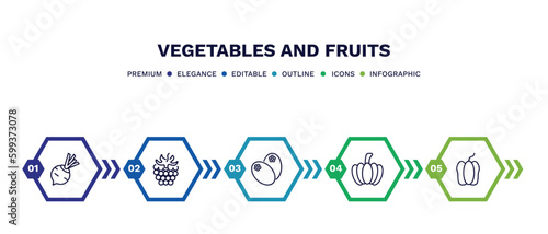 set of vegetables and fruits thin line icons. vegetables and fruits outline icons with infographic template. linear icons such as beetroot, blackberry, breast milk fruit, pumpkin, bell pepper