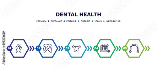 set of dental health thin line icons. dental health outline icons with infographic template. linear icons such as cavity, dental plaque, clean tooth, medical appointment, lingual braces vector.
