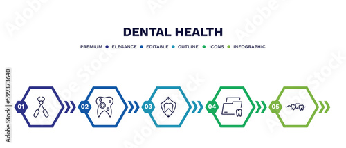 set of dental health thin line icons. dental health outline icons with infographic template. linear icons such as tooth pliers, bicuspid, dental protection, folder, malocclusion vector.