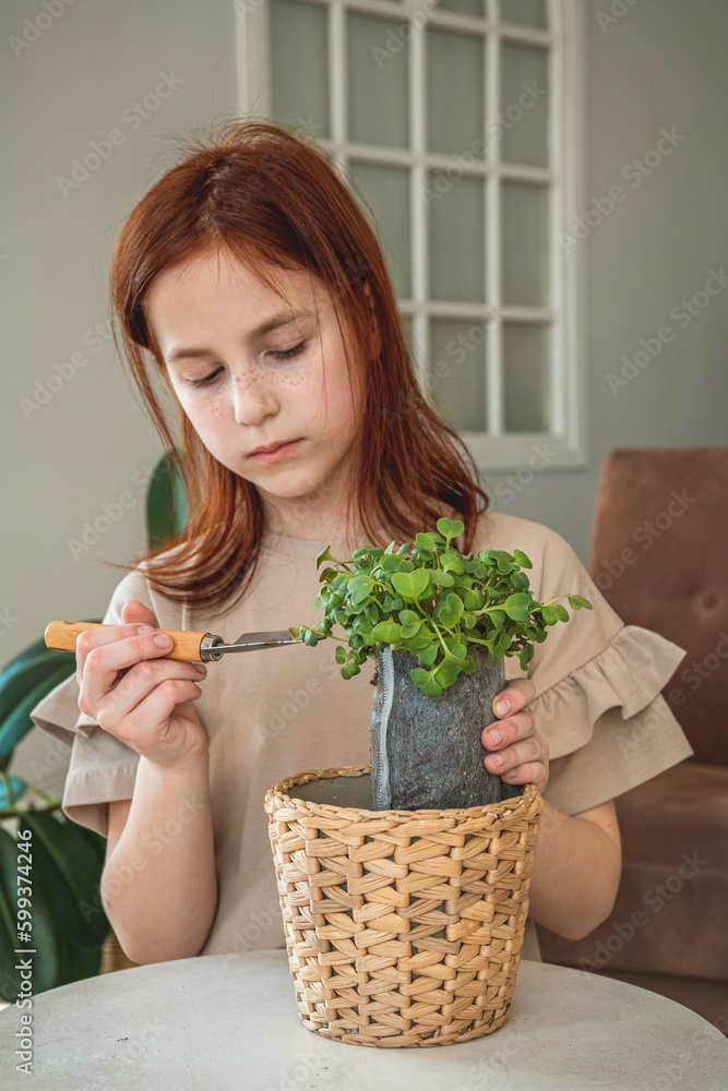 Little toddler girl planting seeds in the pots. Child helping to care for home plants. Little toddler girl planting seeds in the pots. Child helping to care for home plants.