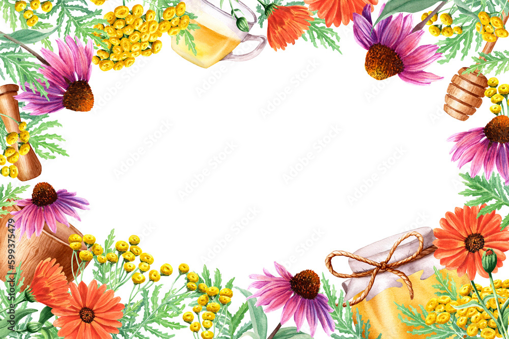 Medicinal herbs and tea set frame. Hand drawn watercolor illustration isolated on white. For card, invitation, labels Medicinal herbs and tea set frame. Hand drawn watercolor illustration isolated on white. For card, invitation, labels