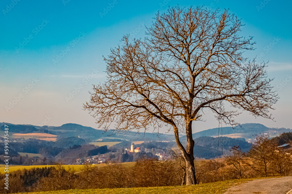 Winter landscape on a sunny day near Herrnfehlburg, Rattiszell, Bavarian forest, Straubing-Bogen, Bavaria, Germany Winter landscape on a sunny day near Herrnfehlburg, Rattiszell, Bavarian forest, Straubing-Bogen, Bavaria, Germany