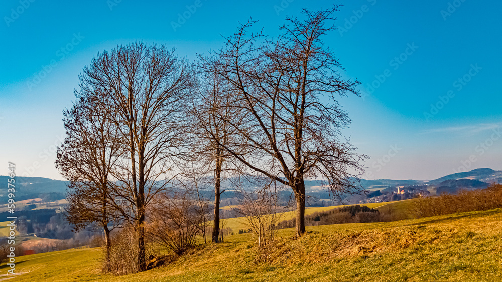 Winter landscape on a sunny day near Herrnfehlburg, Rattiszell, Bavarian forest, Straubing-Bogen, Bavaria, Germany