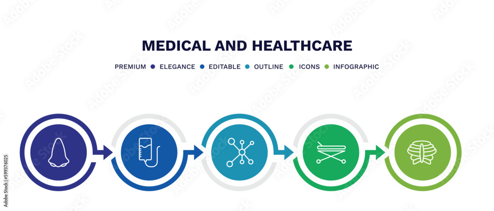 set of medical and healthcare thin line icons. medical and healthcare outline icons with infographic template. linear icons such as l, plasma, cells in a circle, hospital bed side view, sternum set of medical and healthcare thin line icons. medical and healthcare outline icons with infographic template. linear icons such as l, plasma, cells in a circle, hospital bed side view, sternum