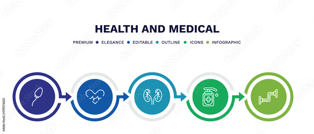 set of health and medical thin line icons. health and medical outline icons with infographic template. linear icons such as spermatozoon, beat, urology, desinfectant, chest expander vector. set of health and medical thin line icons. health and medical outline icons with infographic template. linear icons such as spermatozoon, beat, urology, desinfectant, chest expander vector.