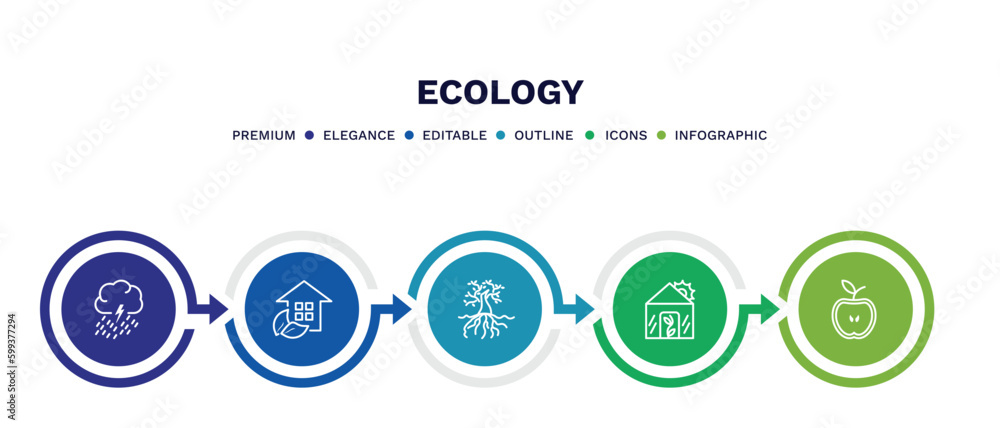 set of ecology thin line icons. ecology outline icons with infographic template. linear icons such as raining, eco house, tree and roots, green house, half vector. set of ecology thin line icons. ecology outline icons with infographic template. linear icons such as raining, eco house, tree and roots, green house, half vector.