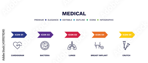 set of medical thin line icons. medical outline icons with infographic template. linear icons such as cardiogram, bacteria, lungs, breast implant, crutch vector. photo