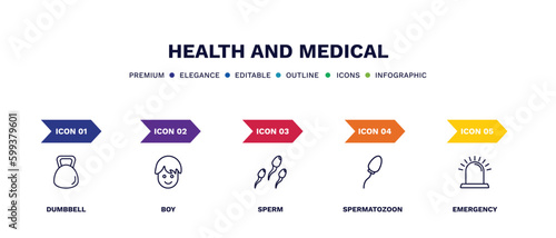 set of health and medical thin line icons. health and medical outline icons with infographic template. linear icons such as dumbbell, boy, sperm, spermatozoon, emergency vector.