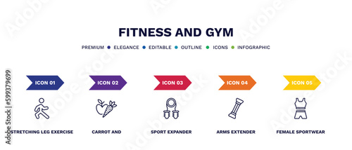 set of fitness and gym thin line icons. fitness and gym outline icons with infographic template. linear icons such as stretching leg exercise, carrot and, sport expander, arms extender, female