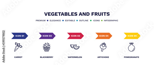 set of vegetables and fruits thin line icons. vegetables and fruits outline icons with infographic template. linear icons such as carrot, blackberry, watermelon, artichoke, pomegranate vector.