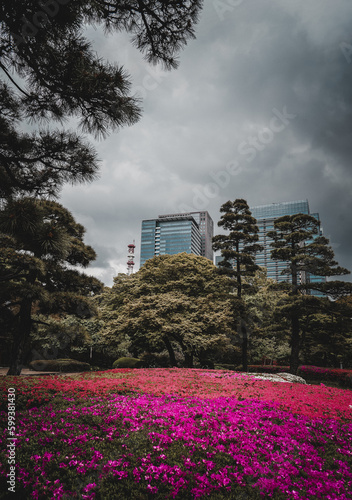 The vibrant red and pink flowers of Tokyo contrast against the grey clouds, creating a stunning landscape of architectural beauty and natural growth.