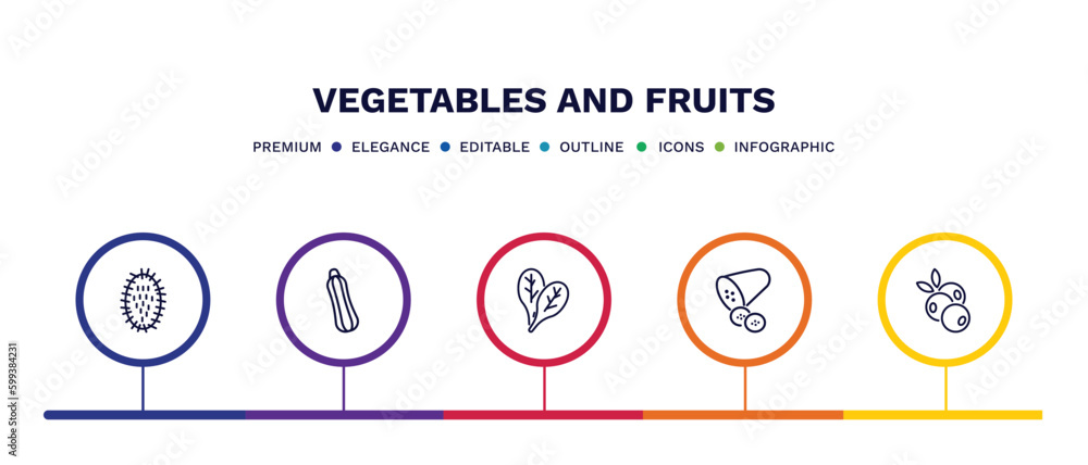 set of vegetables and fruits thin line icons. vegetables and fruits outline icons with infographic template. linear icons such as rambutan, courgette, spinach, cucumber, blueberry vector. set of vegetables and fruits thin line icons. vegetables and fruits outline icons with infographic template. linear icons such as rambutan, courgette, spinach, cucumber, blueberry vector.