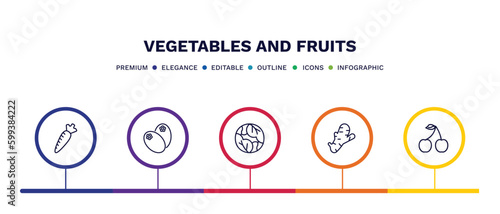 set of vegetables and fruits thin line icons. vegetables and fruits outline icons with infographic template. linear icons such as horseradish, breast milk fruit, cabbage, ginger, cherry vector.