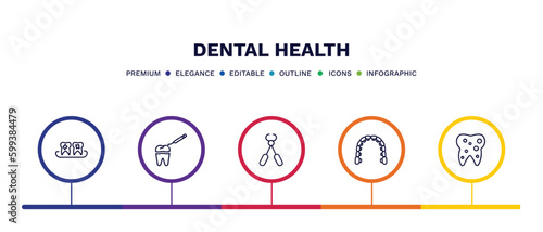 set of dental health thin line icons. dental health outline icons with infographic template. linear icons such as plaque, tooth filling, tooth pliers, lingual braces, inner tooth vector.