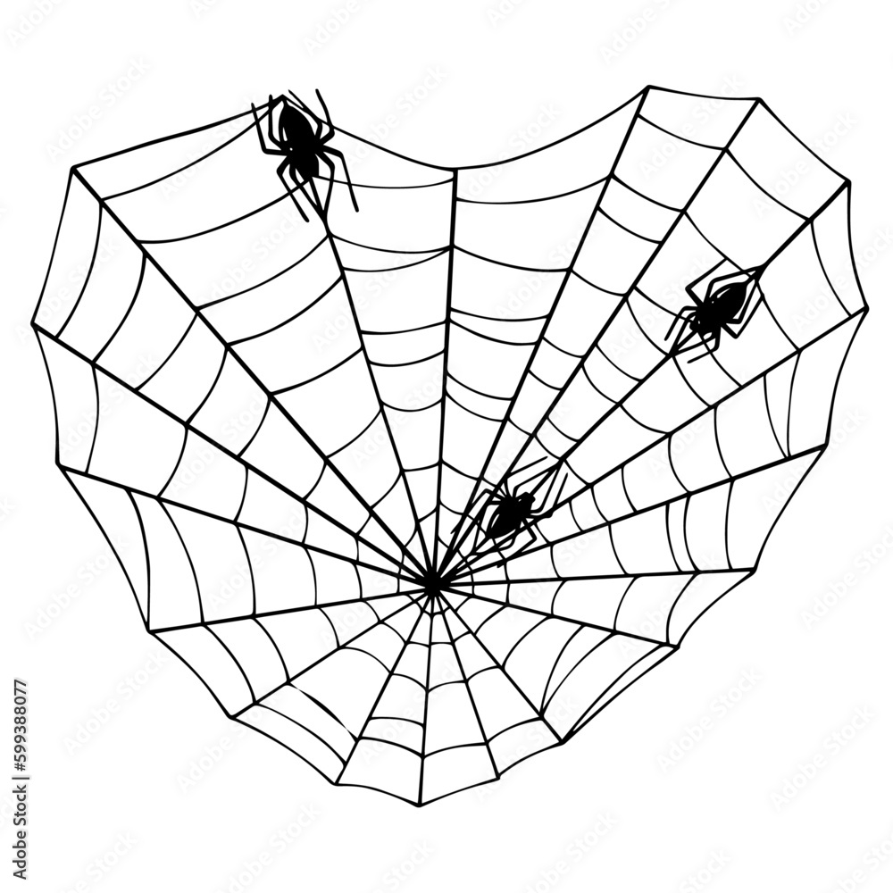 Obraz premium Linear sketch of a corner web with a spider.Vector graphics. 