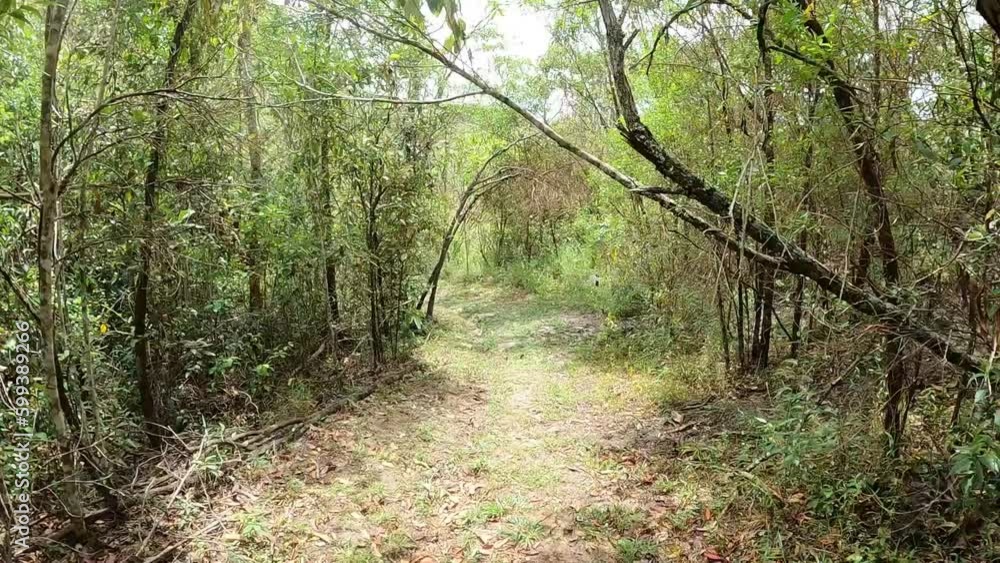 trail in the city of Santo Antonio do Itambé, State of Minas Gerais, Brazil trail in the city of Santo Antonio do Itambé, State of Minas Gerais, Brazil