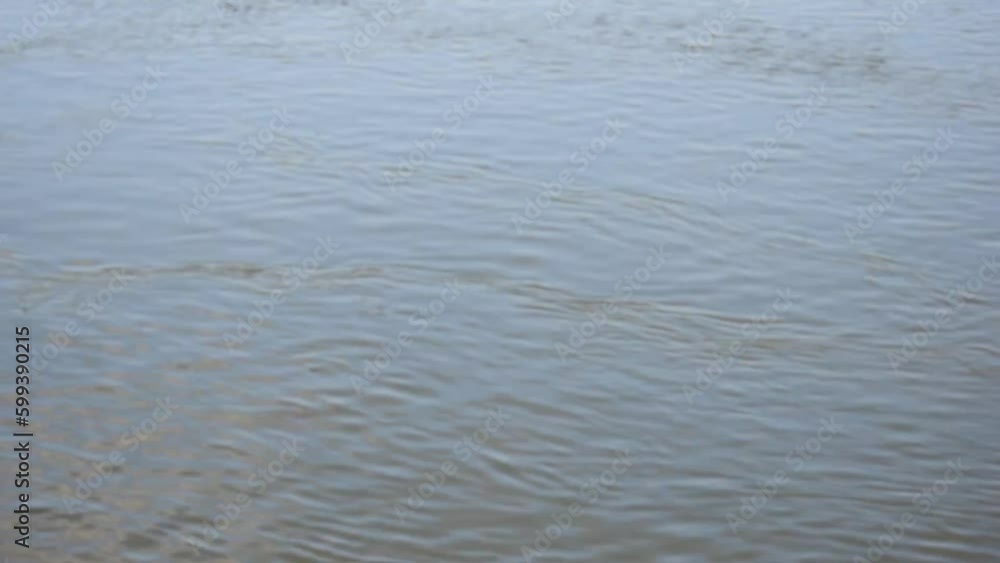 water surface of a Danube river water surface of a Danube river