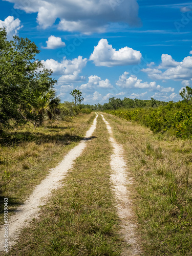 Hiking, biking trail in Deer Prairie Creek Preserve on s summer blue sky white cloud day in Venice in Southwest Florida USA