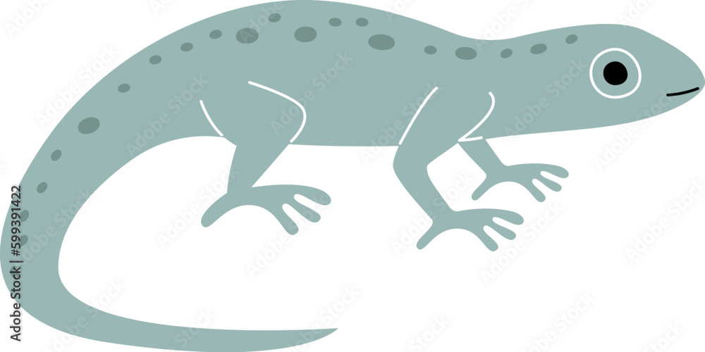 Lizard Reptile Animal Lizard Reptile Animal