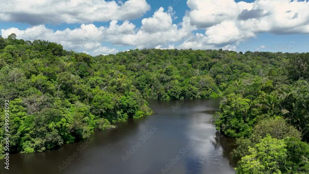 Amazonian Forest At Manaus Amazonas Brazil. Forest Landscape Countryside. Skyline Nature Biome Amazing. Skyline Green Biome Lakeshore Forest. Skyline Amazing Sunny Amazon Rainforest. Manaus Amazonas. Amazonian Forest At Manaus Amazonas Brazil. Forest Landscape Countryside. Skyline Nature Biome Amazing. Skyline Green Biome Lakeshore Forest. Skyline Amazing Sunny Amazon Rainforest. Manaus Amazonas.