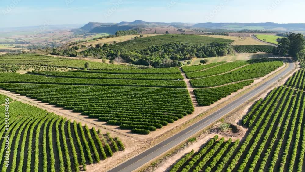 Plantation Field At Monte Santo Minas Gerais Brazil. Forest Landscape Rural Scenery. Nature Sky Clouds Sky Forest. Nature Drone View Sky Rural Panoramic. Nature Forest Park Background. Plantation Field At Monte Santo Minas Gerais Brazil. Forest Landscape Rural Scenery. Nature Sky Clouds Sky Forest. Nature Drone View Sky Rural Panoramic. Nature Forest Park Background.