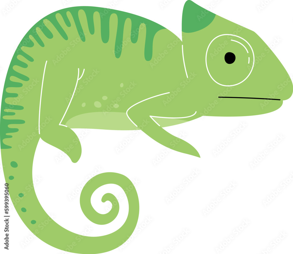Chameleon Reptile Animal Chameleon Reptile Animal