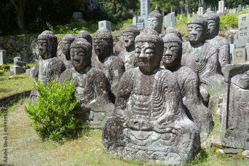 鵜川四十八体石仏群 滋賀県高島市 鵜川四十八体石仏群 滋賀県高島市
