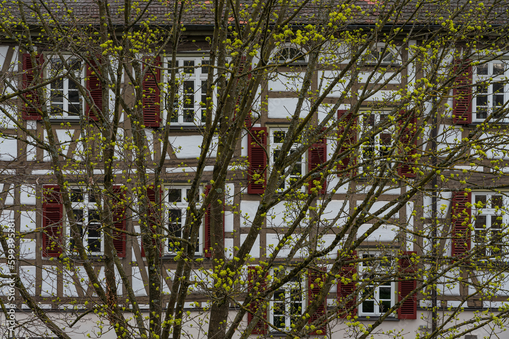 Blühende Bäume in einer historischen Altstadt mit Fachwerkhäusern