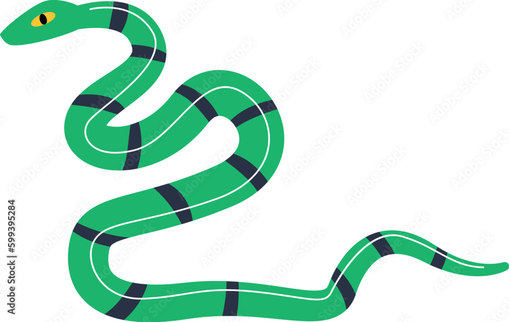 Fototapeta premium Striped Snake Reptile