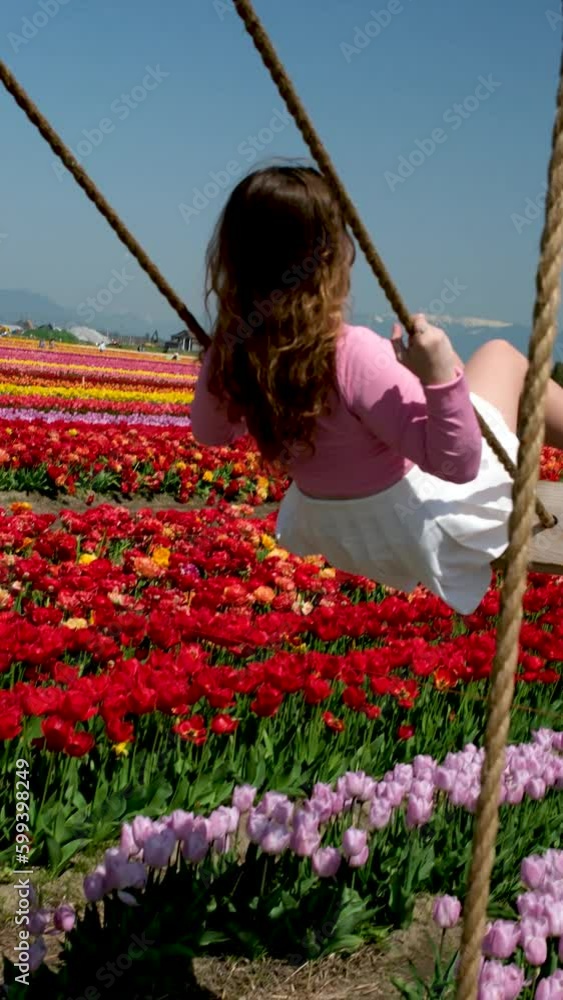 Young attractive blond woman in white summer dress swings on chain swing in coloful tulip fields. space for text ad travel vacation relaxation slow motion video Chilliwack. British Columbia. Canada Young attractive blond woman in white summer dress swings on chain swing in coloful tulip fields. space for text ad travel vacation relaxation slow motion video Chilliwack. British Columbia. Canada