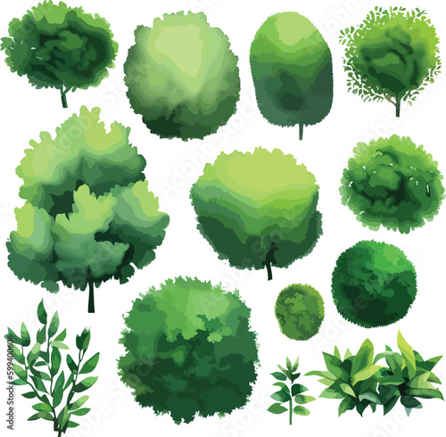 Gorgeous trees bushes shrubs top view vector