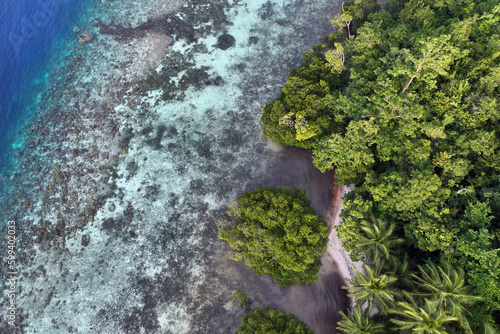Coral reef, mangroves, coconut trees, and rainforest in West Papua in Indonesian New Guinea