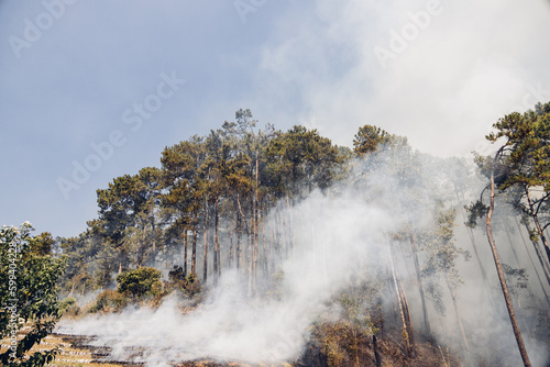 Forest fire at mountain. Smoke from a fire. Countryside forest with fire smoke from wildfire. Wildfire burns ground in forest. Smoke from Wildfire cause PM 2.5