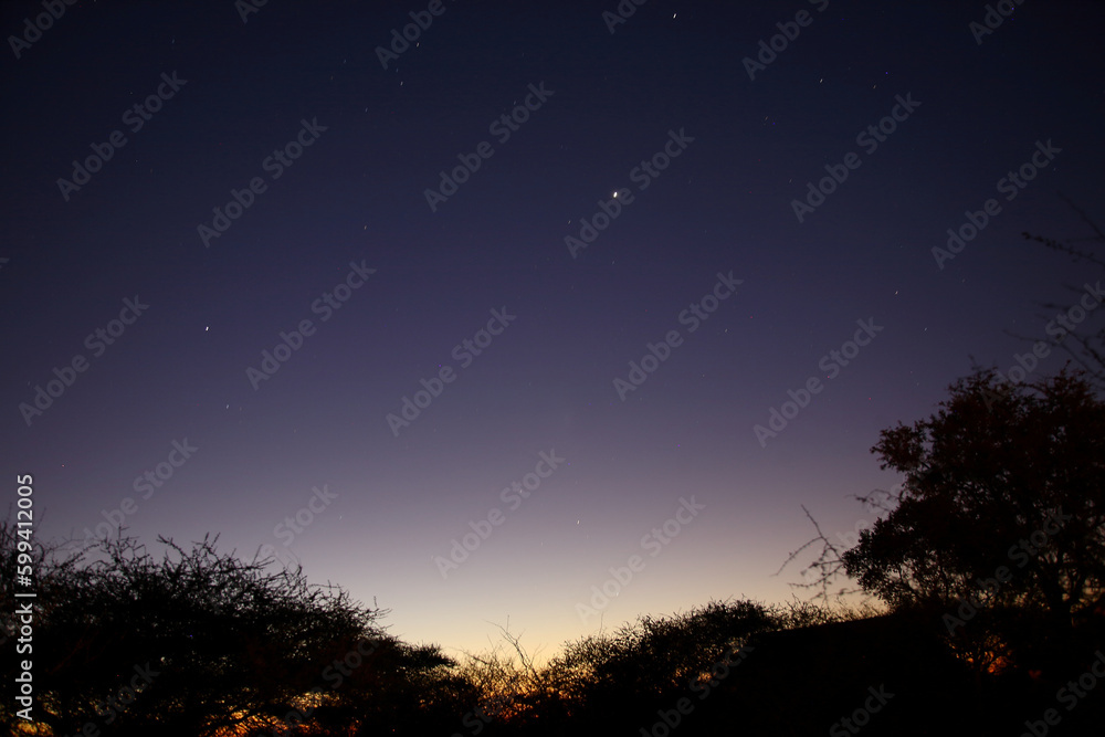 Naklejka premium Afrikanischer Busch - Krügerpark / African Bush - Kruger Park /..