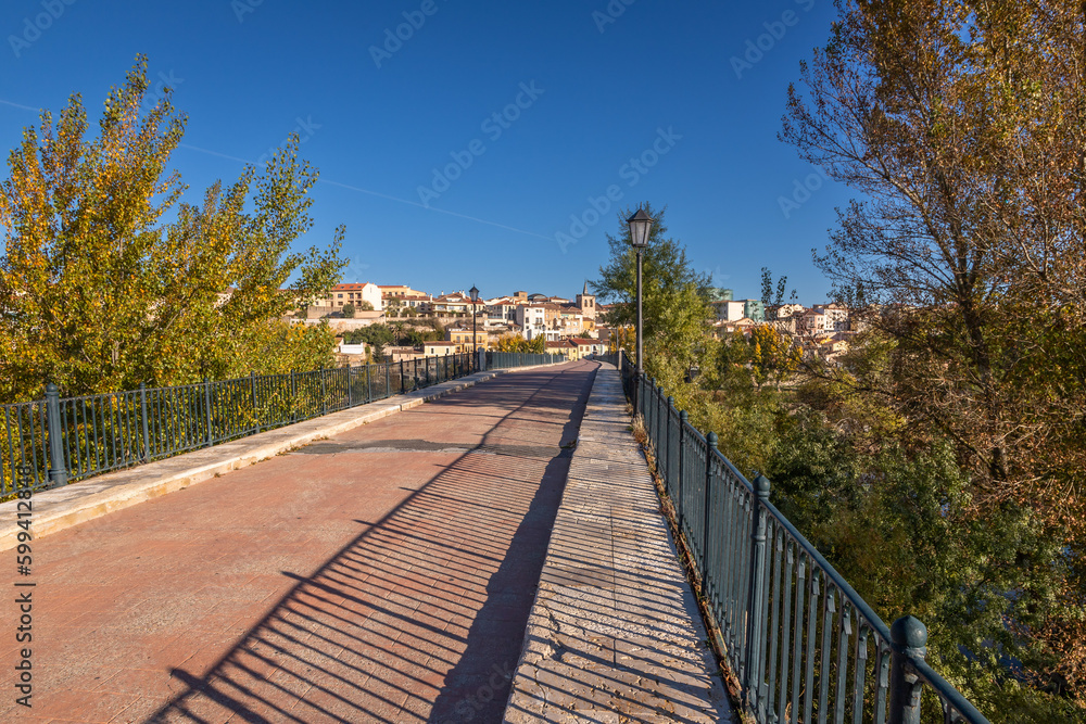 Fototapeta premium Beautiful panoramic view of Zamora roman bridge called Puente de Piedra, during Autumn season, on the Douro River, in Spain.