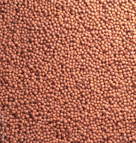 background of single soybeans overhead view. food and oil