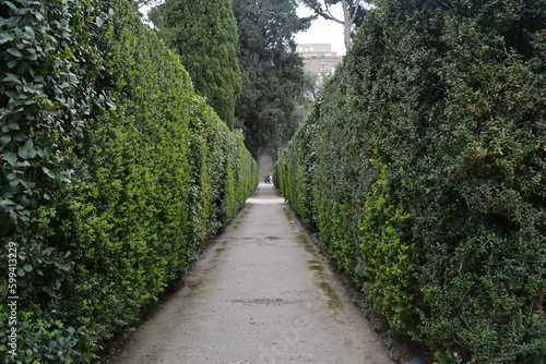path in the garden